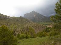 Coll de Nargo