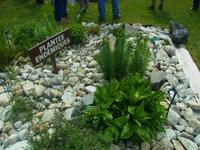 Besuch im Botanischen Garten