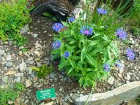 Kleiner Botanischer Garten