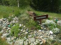 Pflanzenkunde im Vall de Sorteny