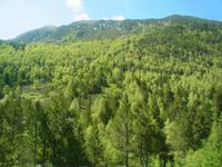 Blick auf den Sorteny Park