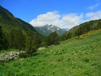 Vall de Sorteny