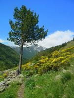 Vall de Sorteny