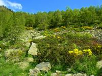 Wanderung durch das Vall de Sorteny
