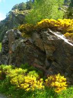 Wanderung durch das Vall de Sorteny