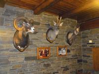 Restaurant in Os de Civis