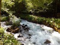 Wildbach im Wolfspark