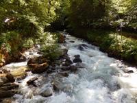 Wildbach im Wolfspark