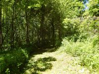 Wanderung durch die Pyrenäen