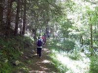 Wanderung durch die Pyrenäen