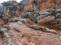Coll de Nargo