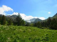 Vall de Sorteny