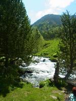 Wildbach in Sorteny