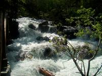 Wildbach in Sorteny