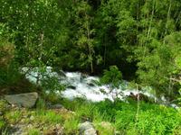 Wildbach