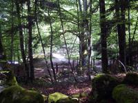 Wolfspark in Orlu