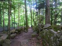 Wolfspark in Orlu
