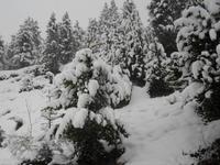 in Andorra im Mai