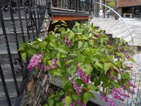 in Andorra