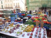 095 Sineu