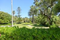 099-wunderschöner Park in der Finca Sant Patrici