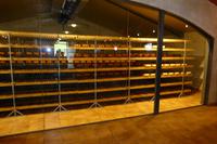 102-Finca Sant Patrici