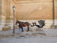 020 Kathedrale La Seu