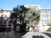 039 Gassen von Palma