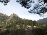 049 Sóller