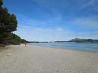100 Bucht von Alcudia
