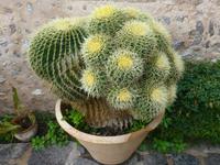 Balkondeko Valdemossa