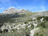 Serpentinen Tramuntana Gebirge