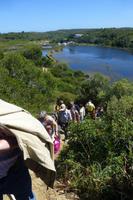 117-Naturparkt S´Albufera es Grau - Süßwassersee