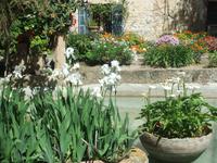 Im Garten des Landgutes