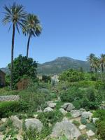 Im botanischen Garten von Soller