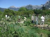 Im botanischen Garten von Soller