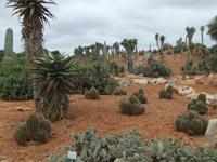 Im botanischen Garten 
