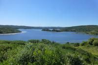 118-Naturparkt S´Albufera es Grau
