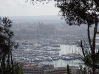 Blick auf die Kathedrale von Palma