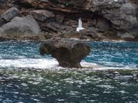 Bootsfahrt entlang der bizarren Felsenküste nach Port de Soller