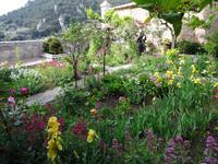 Valdemossa - Kartäuserkloster, Garten