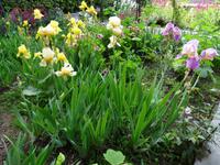 Valdemossa - Kartäuserkloster, Garten