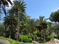 Die Gärten von Alfabia 