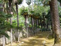 Die Gärten von Alfabia 