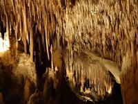 Verzauberung in der Drachenhöhle 