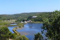 120-Naturparkt S´Albufera es Grau - Süßwassersee