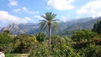 Botanischer Garten Soller
