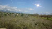 Landschaft bei Sta Eugenia,  Mallorca