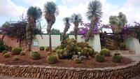 Botanicactus, Mallorca