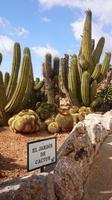 Botanicactus, Mallorca